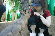 ロハスなはなし 第3回 開放的な動物園